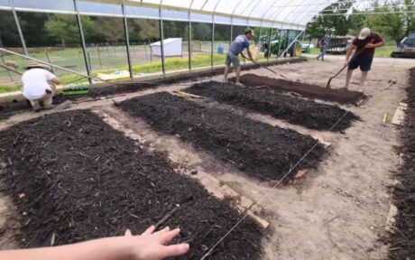 No Till Gardening Method Benefits