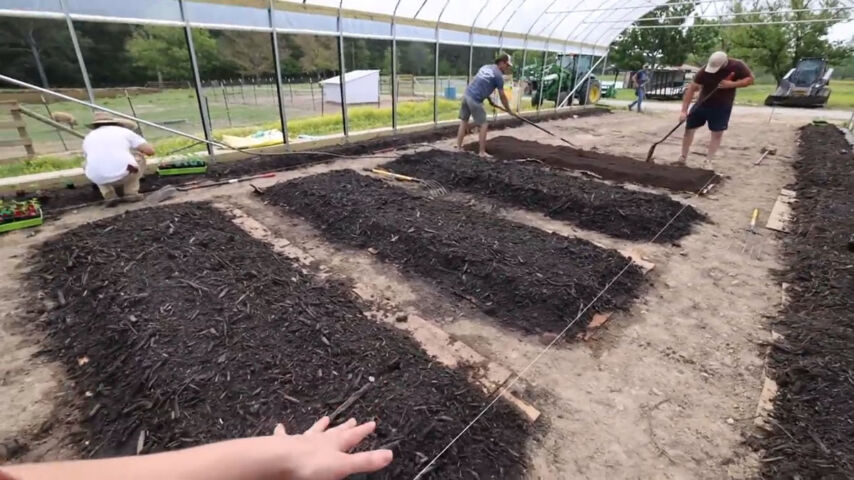 No Till Gardening Method Benefits