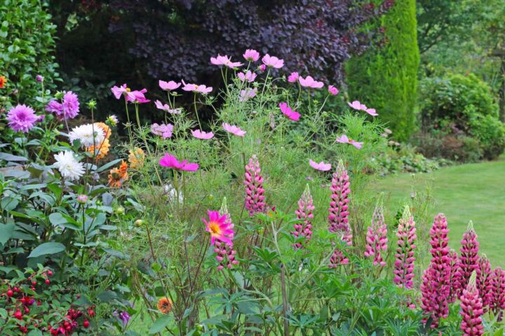 Why Mini Gardens Are Taking Over American Backyards in 2026?