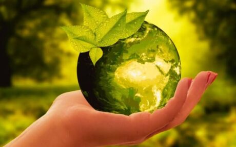 Why Sustainable Living Is the Hottest Trend of 2026 and How You Can Start Today?