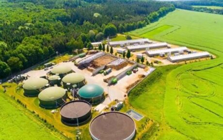 Perbedaan Biogas dan Biomassa sebagai Sumber Energi Terbarukan!