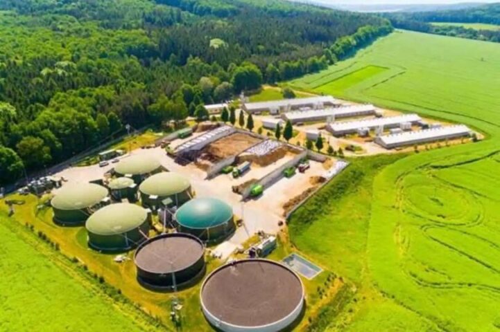 Perbedaan Biogas dan Biomassa sebagai Sumber Energi Terbarukan!