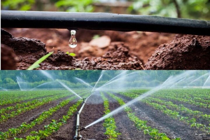 Perbedaan Sistem Irigasi Tetes dan Irigasi Sprinkler untuk Taman!