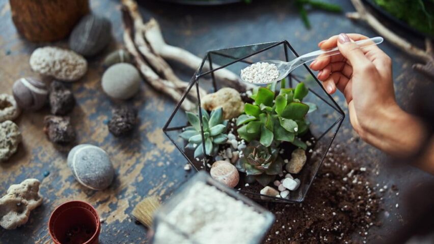 5 Langkah Cara Membuat Terrarium Kering untuk Dekorasi Meja yang Tahan Lama!
