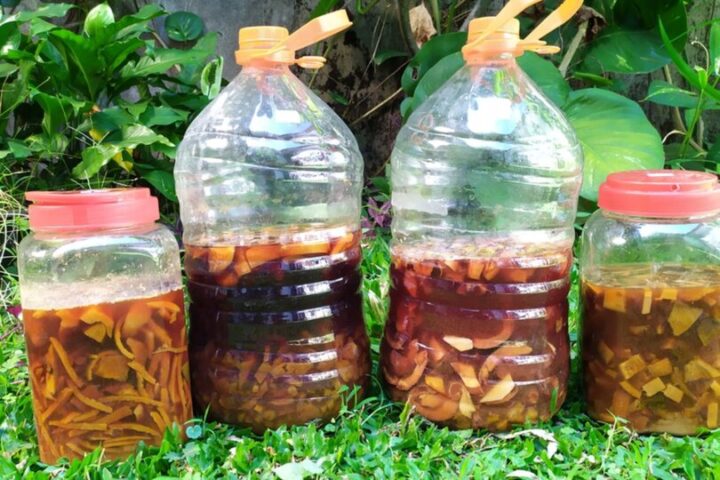 Cara Membuat Eco Enzyme dari Limbah Buah untuk Pembersih Rumah!